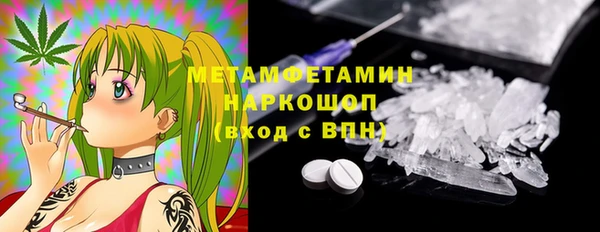 стафф Новозыбков
