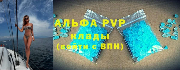стафф Новозыбков