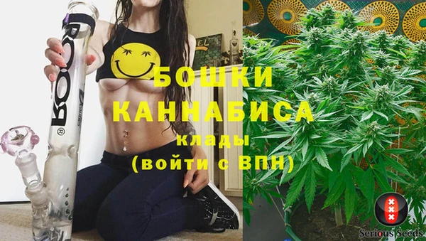стафф Новозыбков
