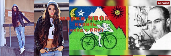 стафф Новозыбков